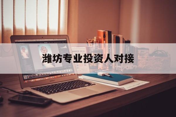 北京市潍坊专业投资人对接(潍坊专业投资人对接中心)