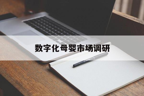 北京市数字化母婴市场调研(数字化母婴市场调研报告)