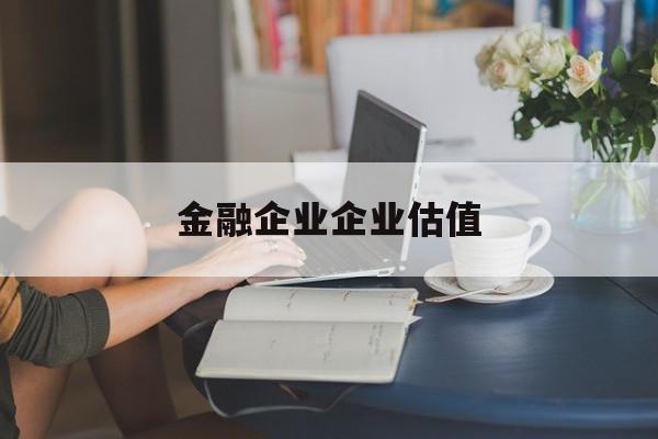 北京市金融企业企业估值(最新企业估值怎么填)